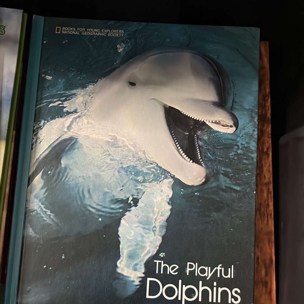 National Geographic Playful Dolphins in Blue and White